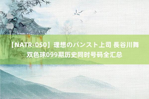 【NATR-050】理想のパンスト上司 長谷川舞 双色球099期历史同时号码全汇总