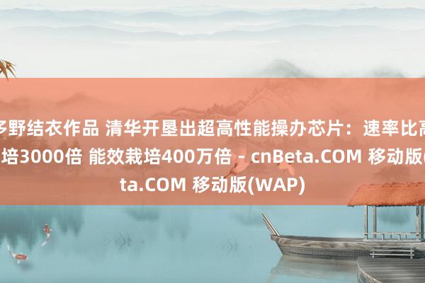 波多野结衣作品 清华开垦出超高性能操办芯片：速率比高端GPU栽培3000倍 能效栽培400万倍 - cnBeta.COM 移动版(WAP)